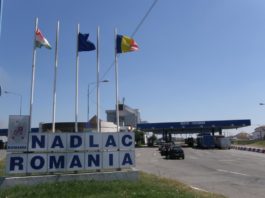 Cetăţean moldovean, prins la graniţă cu permis de conducere fals