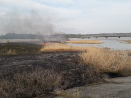 Un incendiu care a putut fi observat din municipiul Slatina a cuprins, luni după-amiază, o mică insulă de pe râul Olt.