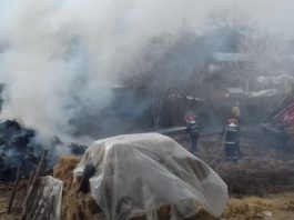 7 incendii de vegetatie in ultimele 48 de ore