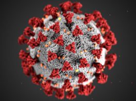 Coronavirus în România: Neamț, al doilea cel mai afectat județ, după Suceava
