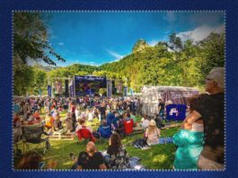 A patra ediție a festivalului Open Air Blues Festival Brezoi a fost amânată pentru iulie 2021, iniţial fiind progrmat în iulie 2020