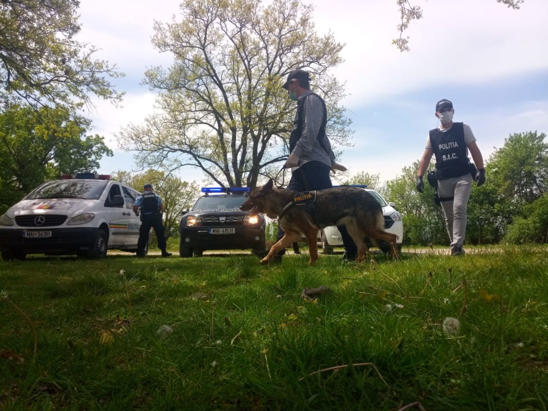 Poliția, în patrulare în zonele de picnic