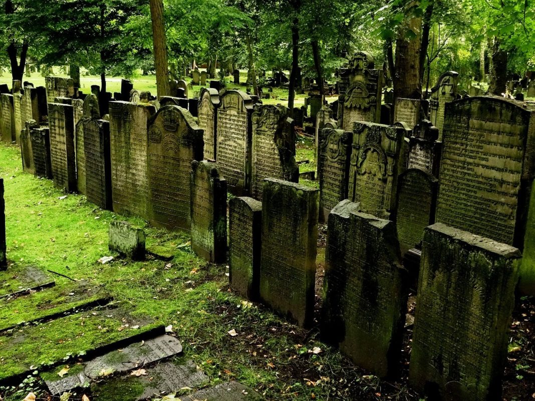 Un cimitir descoperit sub o parcare din Berlin arată cât de violentă era viața acum opt secole