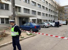Patronul firmei care a făcut dezinsecția în „blocul morții” din Timișoara, trimis în judecată