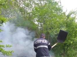 Pompierii mehedinţeni au intervenit pentru stingerea incendiilor de vegetaţie uscată