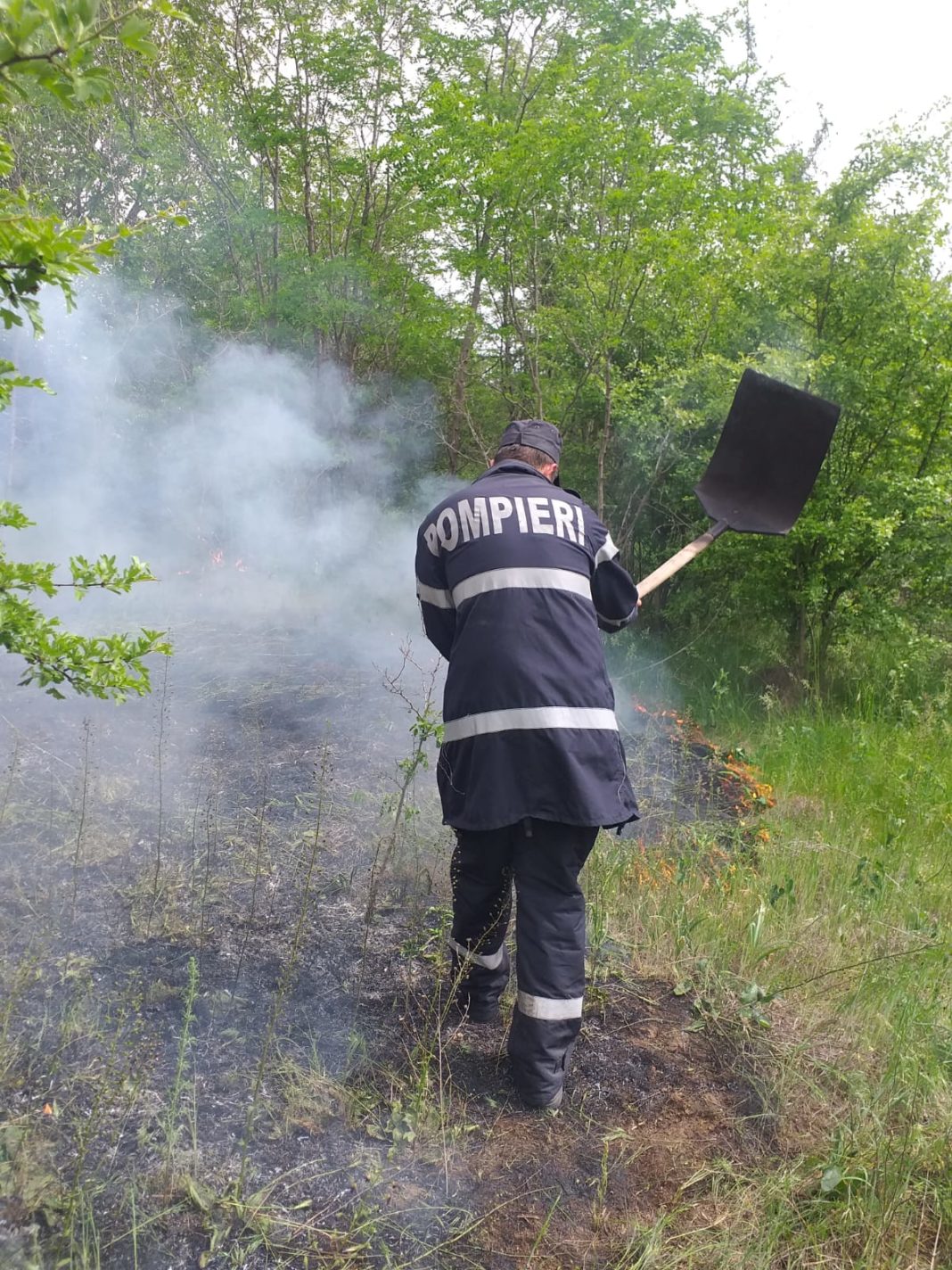 Pompierii mehedinţeni au intervenit pentru stingerea incendiilor de vegetaţie uscată