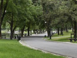 Începe relaxarea în Craiova! Comitetul Local pentru Situații de Urgență Craiova a luat oficial decizia de a redeschide parcurile din municipiu.