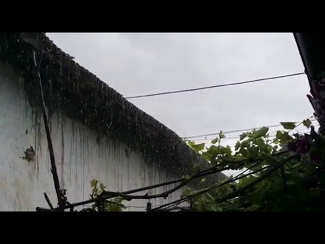 Furtună cu grindină asupra Craiovei