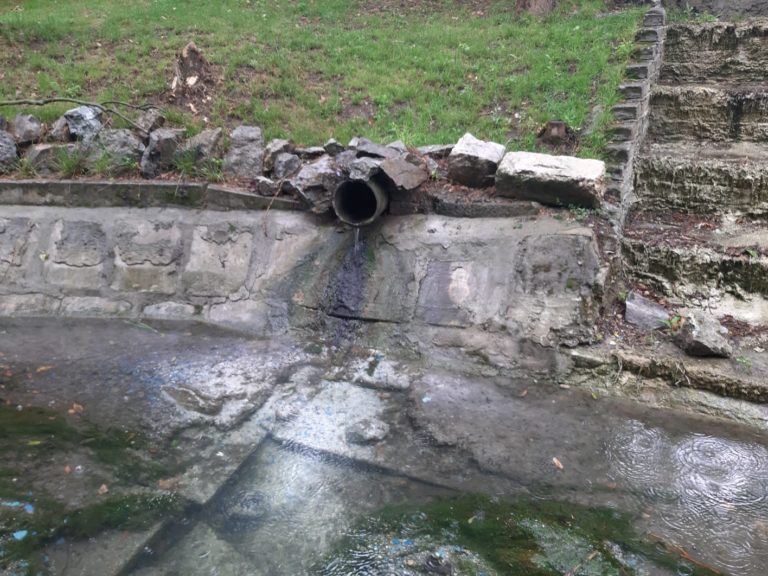 Probleme în grădina RAADPFL