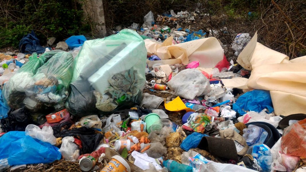 Parlamentul a adoptat legea mirosului