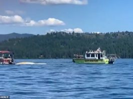 Două avioane s-au ciocnit deasupra unui lac din statul Idaho