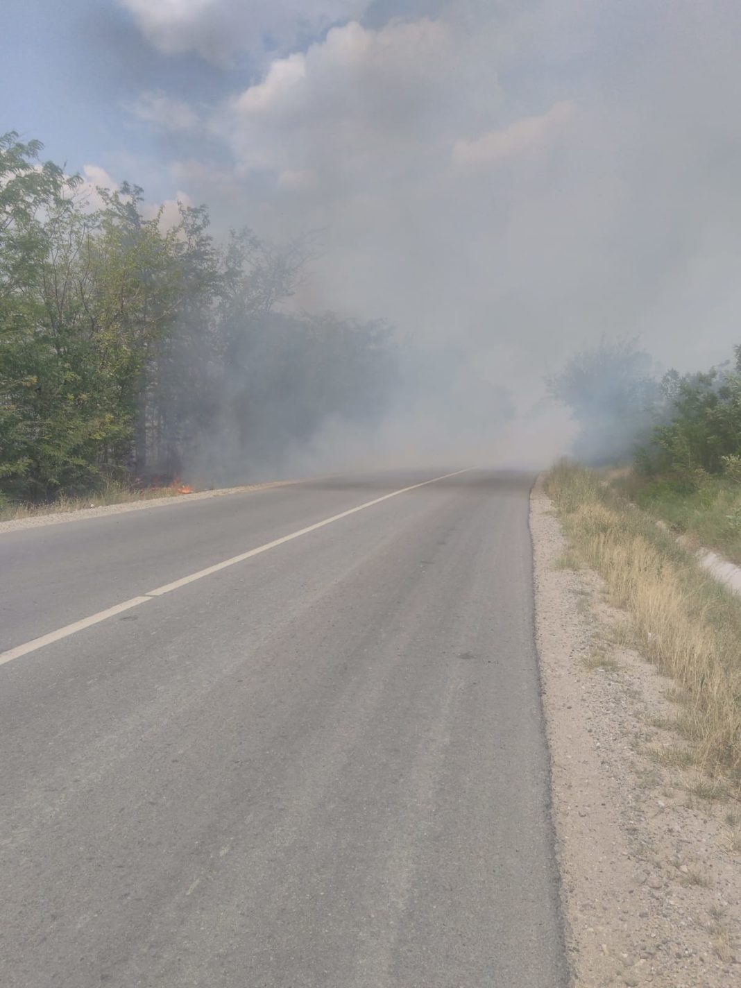 Incendiu de vegetație uscată lângă DN 55, la Malu Mare