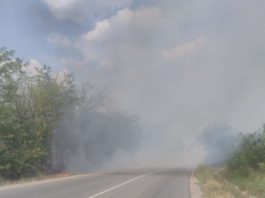 Incendiu de vegetație uscată lângă DN 55, la Malu Mare