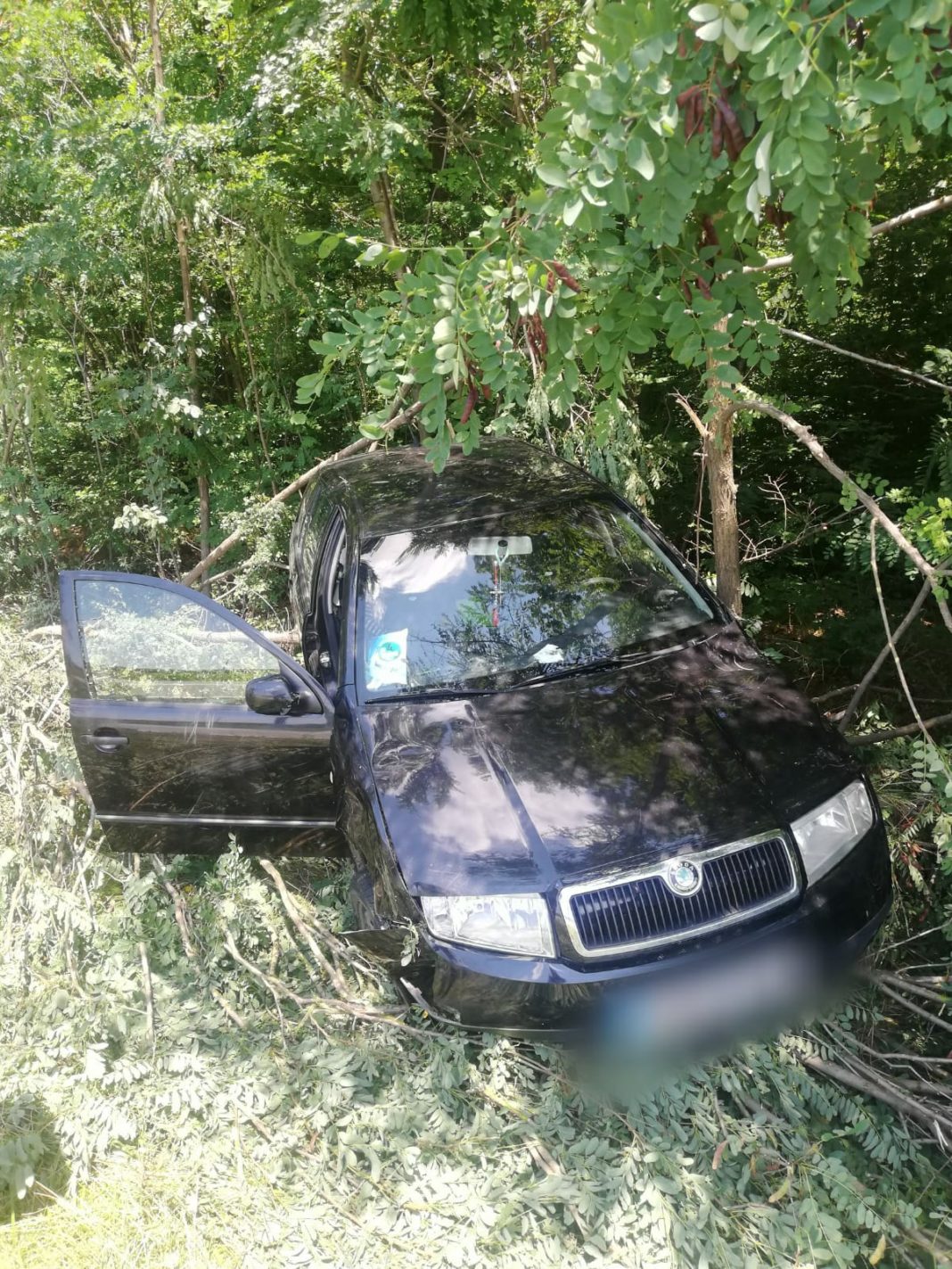 Un bărbat, de 61 de ani, din Berbești, a ajuns cu autoturismul personal în liziera de la marginea DN 67, pe raza comunei vâlcene Slătioara