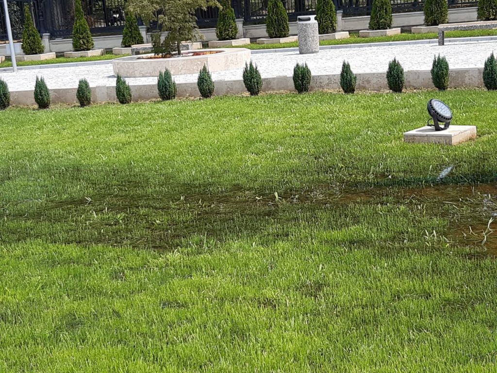 Balta în piațeta de la intrarea în parc