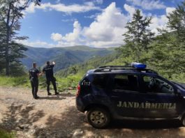 Jandarmii au sancționat doi șoferi care își testau mașinile pe o pajiște alpină