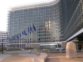Companiile are au legături cu țări în care se află paradisuri fiscale NU trebuie să primească ajutor de stat