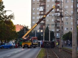 Microbuzul s-a răsturnat pe calea de rulare a tramvaiului (Foto: aradon.ro)