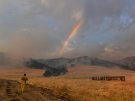 Incendiile continuă să facă ravagii în California