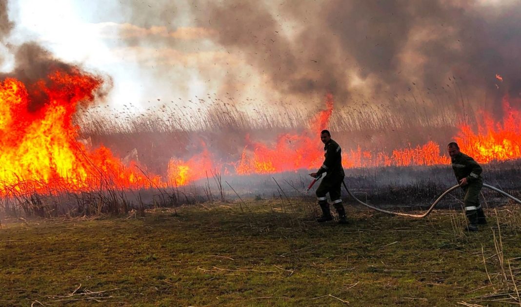 Un pompier a murit într-un incendiu de vegetație din Argeș