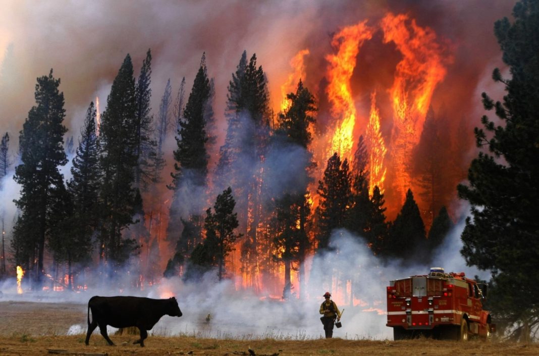 California, devastată de incendii