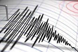 Cutremur cu magnitudinea de 3,4 grade pe scara Richter în judeţul Vrancea