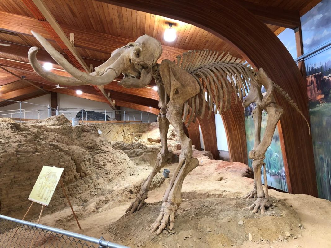 Cât de rece era pe Pământ la apogeul ultimei ere glaciare