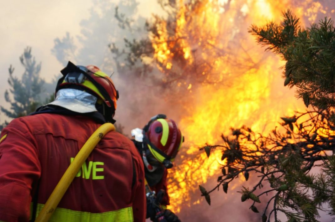 Incendiu de pădure izbucnit în regiunea Madrid