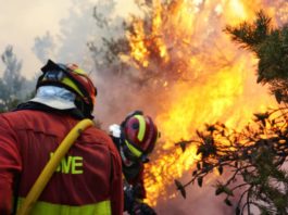 Incendiu de pădure izbucnit în regiunea Madrid