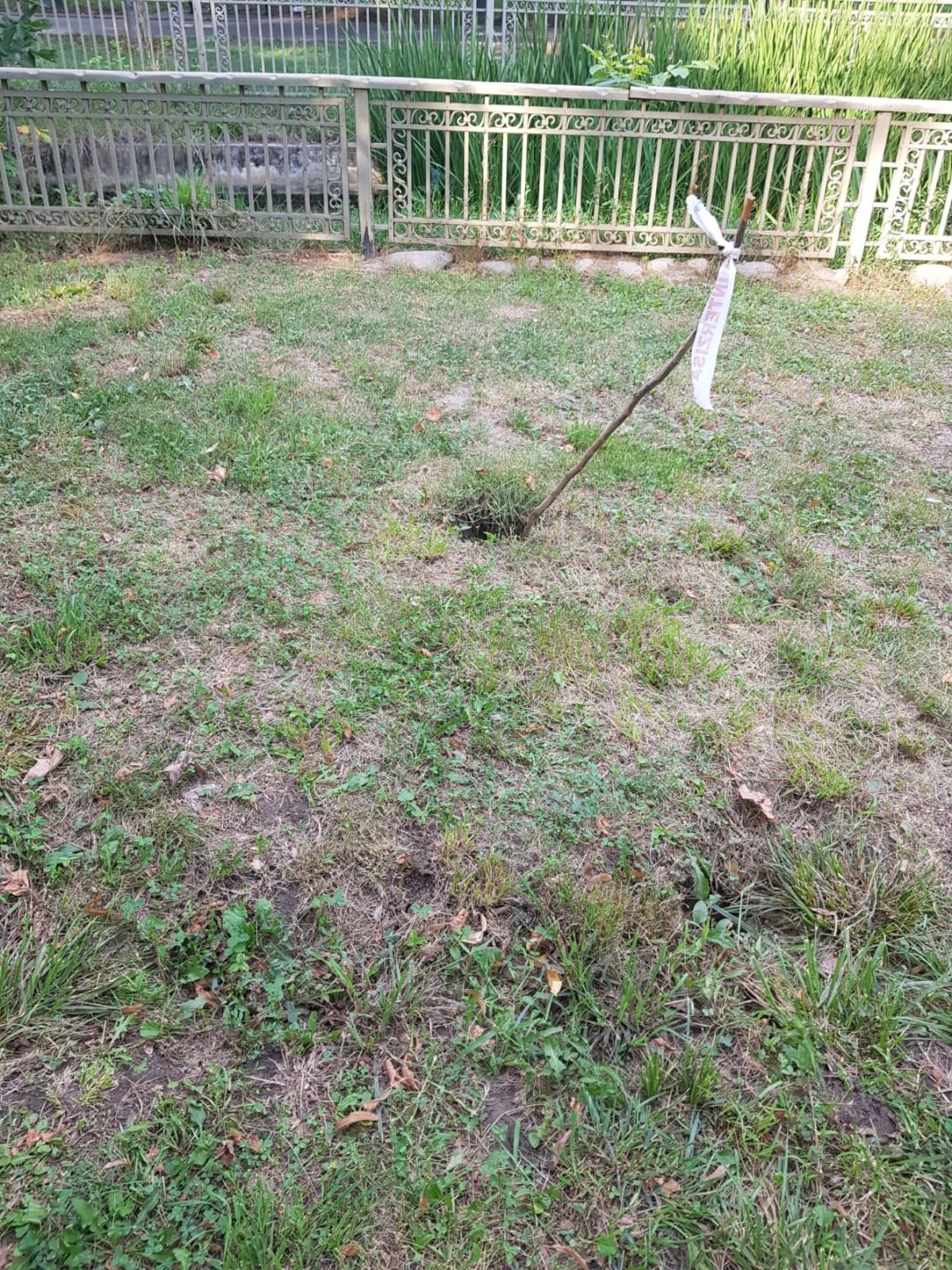 groapa parc Pericolul din Parcul