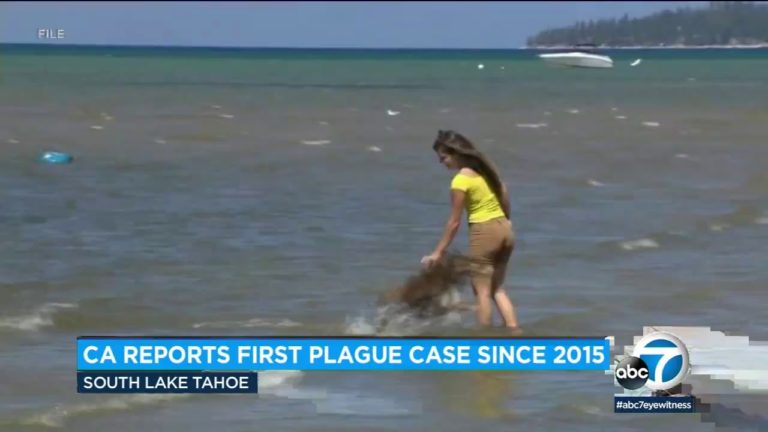 Alertă de ciumă în California. Un rezident infectat