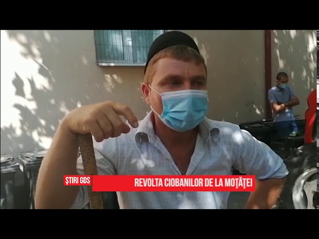 Proteste la primăria Moţăţei: Unde este islazul comunal?