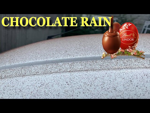 A „nins“ cu cacao într-un oraş elveţian