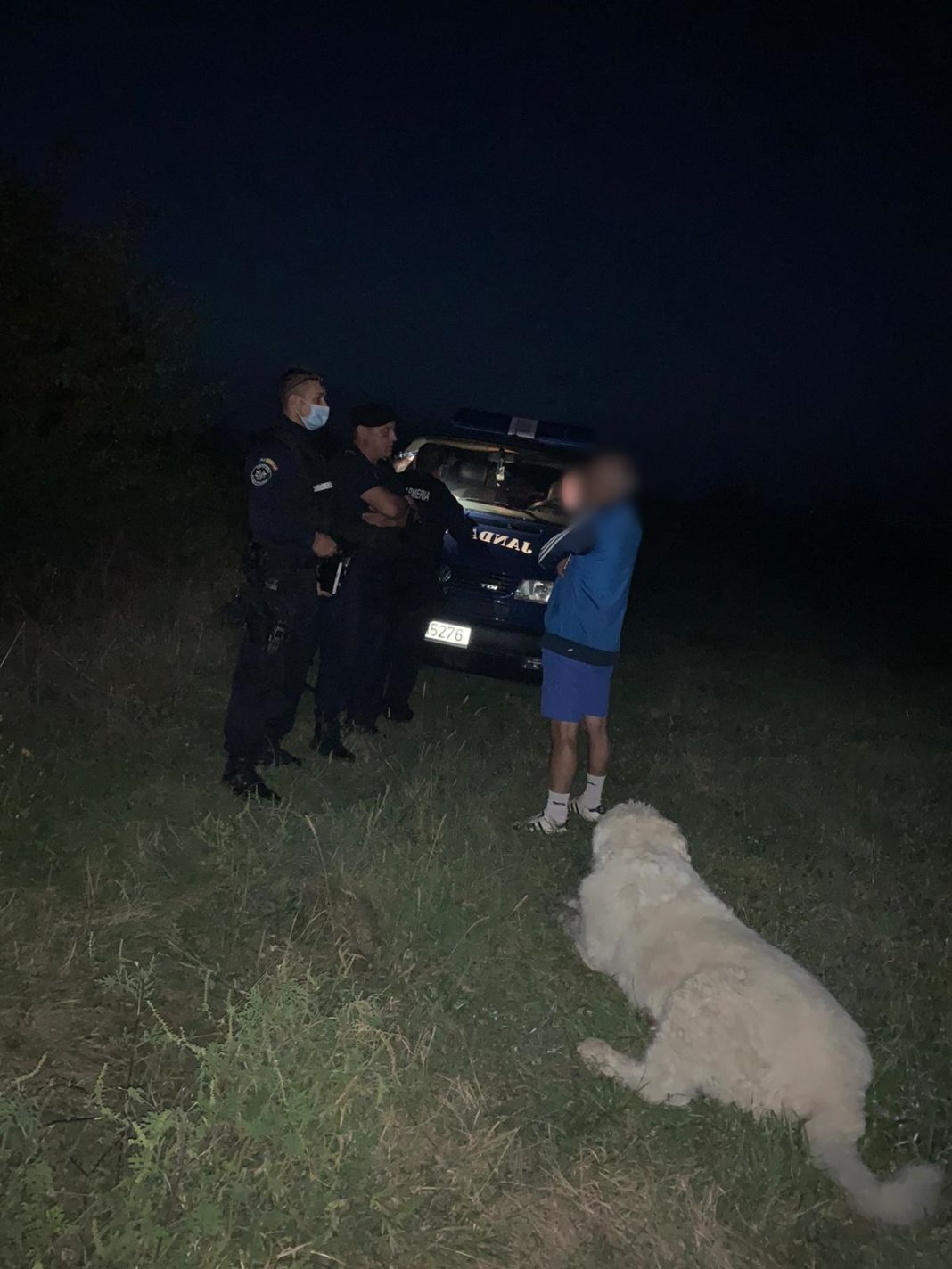 Proprietarul unui câine considerat agresiv a fost amendat aseară de jandarmii din Târgu Jiu pentru că acesta nu avea lesă