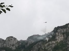 Pompierii au stabilit cauza incendiului din Parcul Național "Domogled-Valea Cernei"