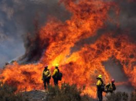 Incendiile de vegetaţie continuă să facă ravagii pe teritoriul statelor California, Oregon şi Washington, din vestul Statelor Unite