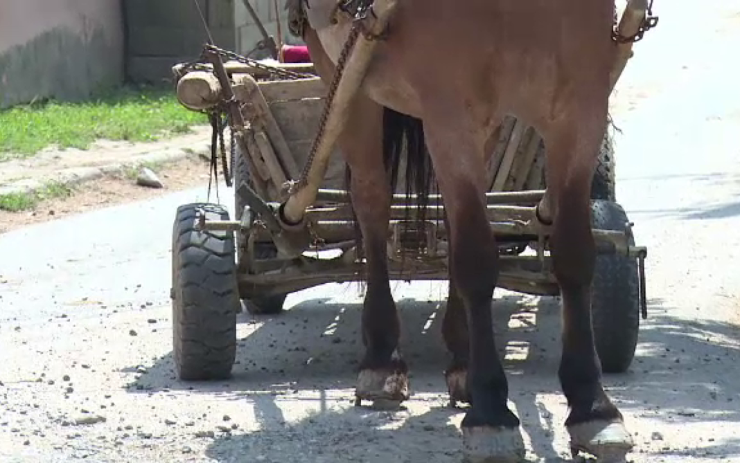 Bărbat strivit sub propria căruţă, după ce calul s-a speriat de un camion