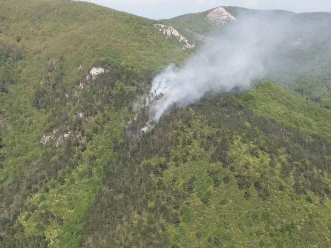 Incendiu în Parcul Naţional Domogled