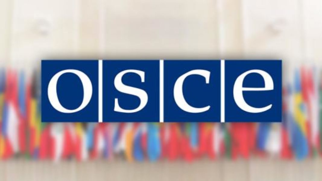 România participă la misiunea OSCE din Belarus