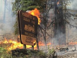 Parcului Național Yosemite, închis din cauza incendiilor