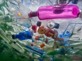 Soluția pentru combaterea plasticelor care sufocă planeta, o enzimă creată în laborator