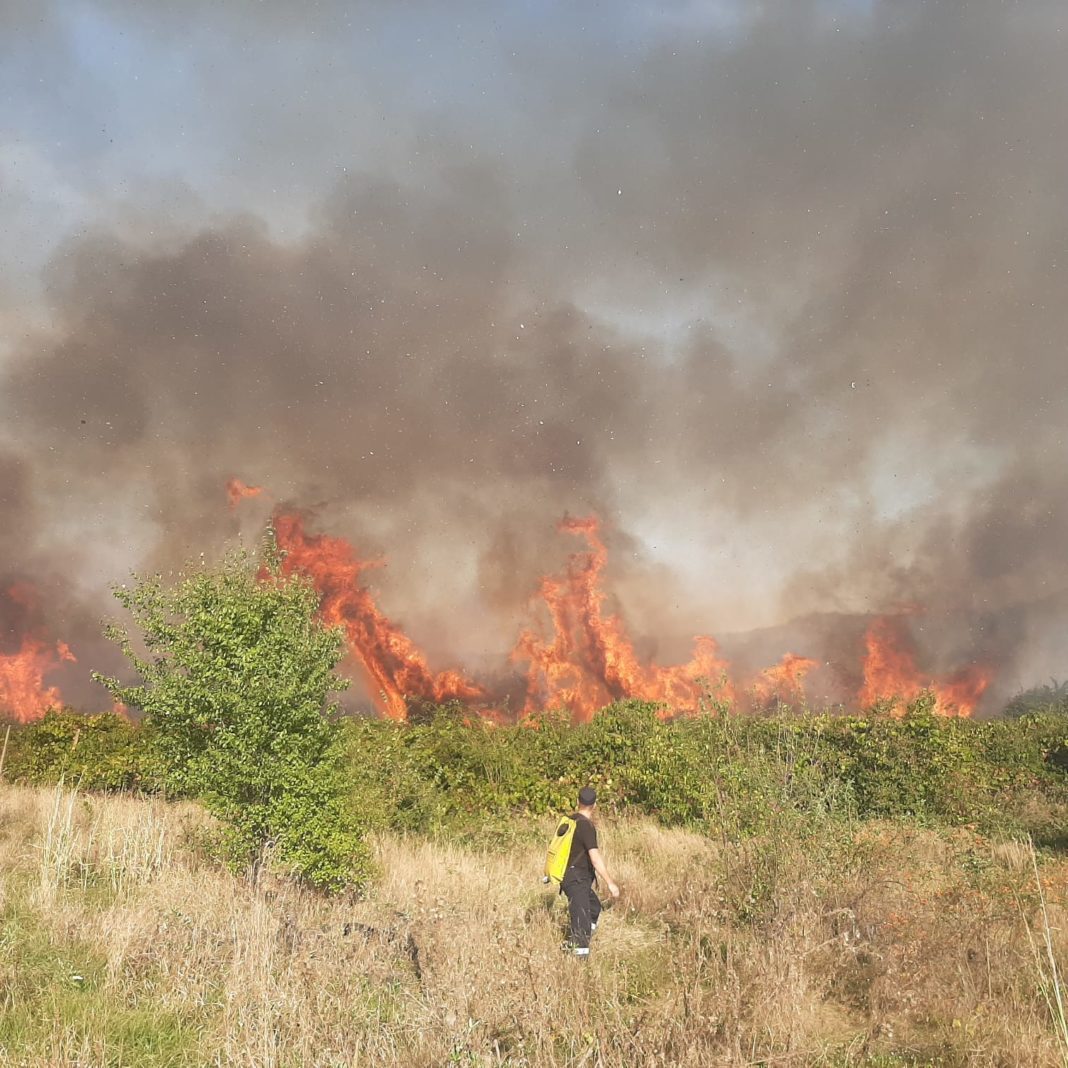 Pompierii au acționat pentru stingerea a 23 de incendii