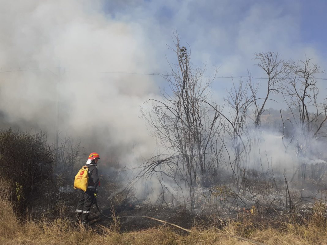 Un pompier a murit într-un incendiu de vegetație din Argeș