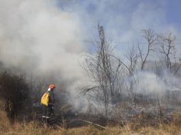 Un pompier a murit într-un incendiu de vegetație din Argeș