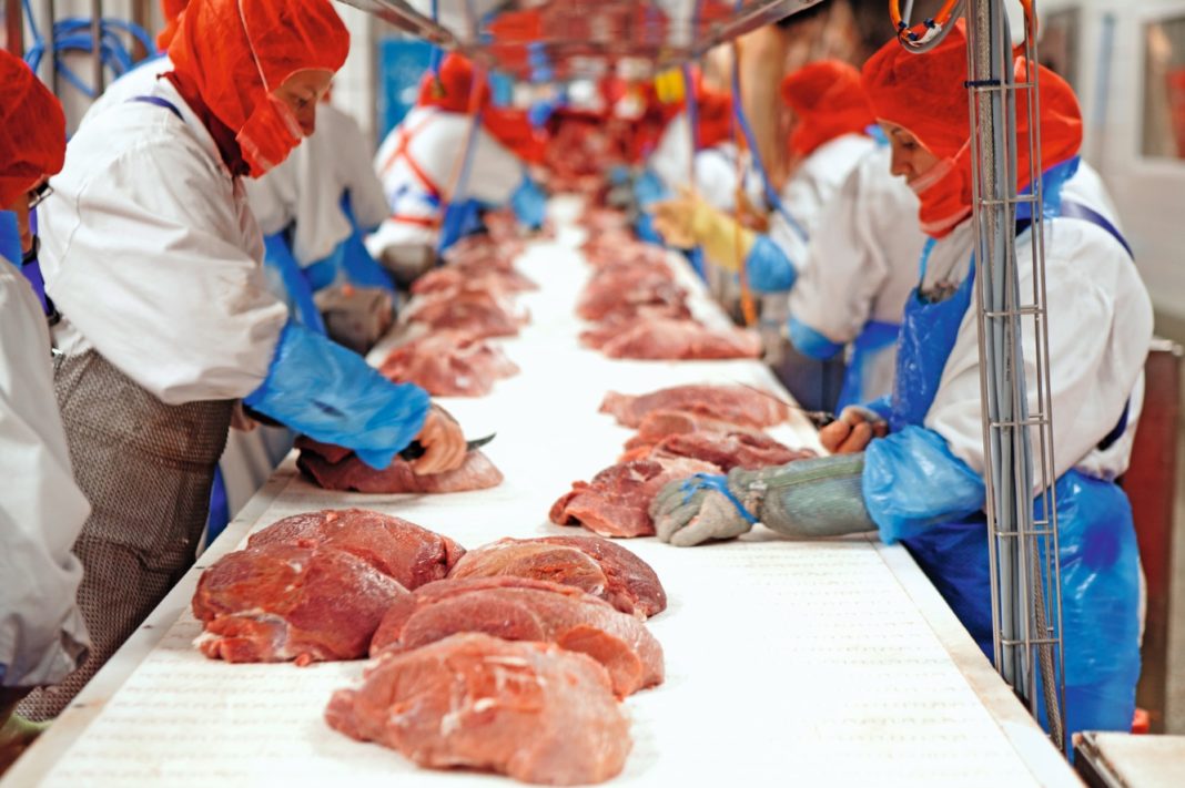 Carnea de porc din Germania, interzisă pe pieţele asiatice