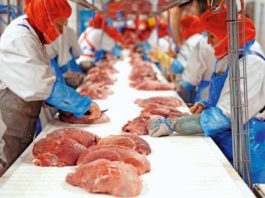 Carnea de porc din Germania, interzisă pe pieţele asiatice