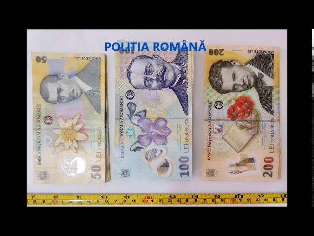 29 de percheziţii în trei judeţe, într-un dosar de evaziune fiscală