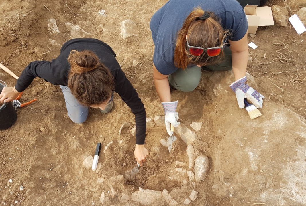 wPeJTtXrSpNWynwYsFHHZ7-1200-80 O fortăreaţă egipteană, veche de 3.200 de ani, descoperită în Israel