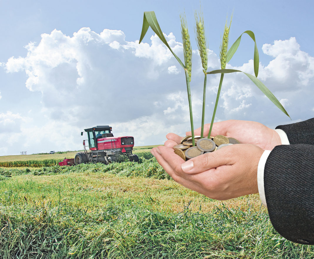 10_agr_shutterstock_37 La nivelul APIA CJ Gorj, suma totala autorizată la plata este de 63756.76 lei pentru 42 rentieri agricoli