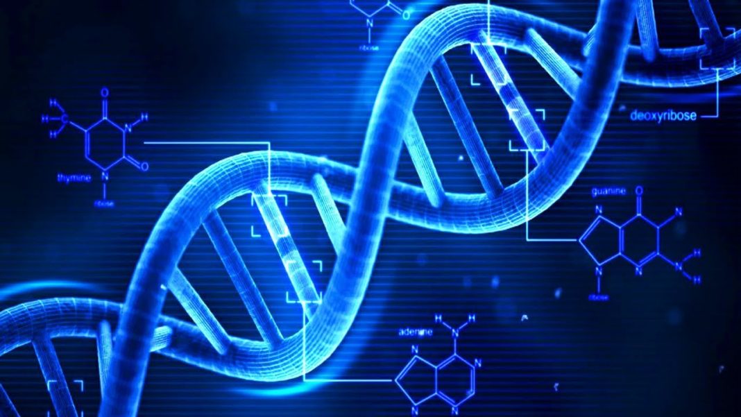 Gena preistorică din ADN-ul uman ar putea fi de vină în unele cazuri severe de COVID-19